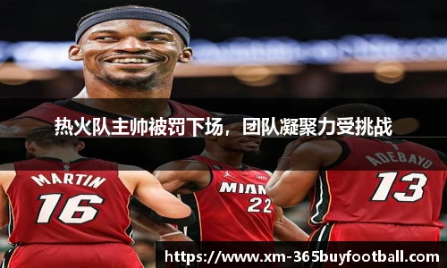 热火队主帅被罚下场,团队凝聚力受挑战